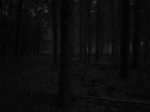 Ambient2