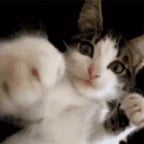 I finally ninja - Sound