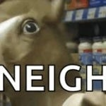 horse neigh