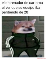 Nitido mansana  Jovani vazquez