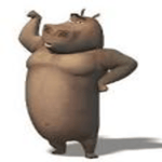 Moto Moto brasileiro