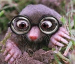 Frederic il a oublié ses lunettes