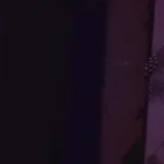 Let me tell you what comes next.