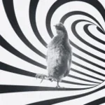 phycho dream-hardstyle