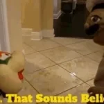 Invincible sound design SFX