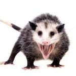 AAAAAAAAAAAAAAAAAAAAAAAAAAHHHHHHHH! - Sound