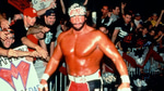Macho Man Randy Savage - Lie 2