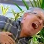 Risada Carlos Alberto rapido