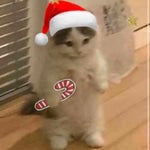 AAAAUUUGHHHH Meme Sound Effect