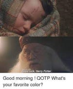 Harry Potter 1 - Dumbledore - Good luck harry potter