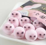 Steam Gardens (CD Version)