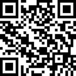 Year 11 political project audio