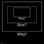 'What' Bottom Text Meme (Sanctuary Guardian) - S