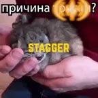 STAGGER