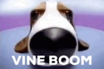 vine boom slowed down