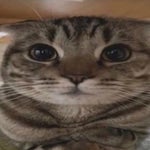 Playboi Carti immortal Instrumental (What is that melody sfx) [