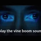 Voicy_vine boom