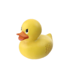 Daisy orchestral version