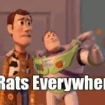 cant hang on any longer