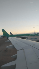 Funny Kazoo and Quirky Toys