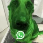 hm hm hm dog - Sound