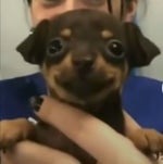 Skeletor saying What ! (Masters of the Universe Meme) Sound Eff