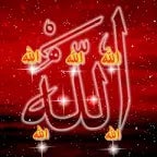 halal muslim song👆