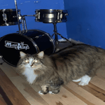 Mandrake scream (OUTDOORS)