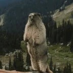 Recording 06/04/25 21:37:06 (copy)