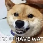 HAHAHAHA YOU HAVE NO WATER HAHAHHAHA