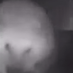 você gosta de chupar cace