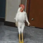 Chicken Scream