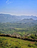 جديد شيلة تخرج لاح الفرح والسعد والخير - Sound