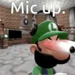 Weegeepie crashout
