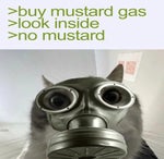 messages from the stars