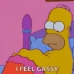 Stella belly so round