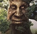 Gigachad theme (phonk house version)