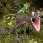 Sera que o Lagarto mama