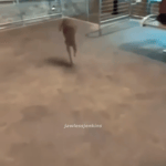 Oh my god! I have lost my kid!