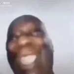 Gerber Life Grow Up Plan (copy)