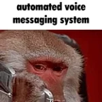 voice mail