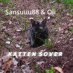 Bombaklatt! (from "Katten sover")