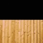 Joseph Joestar fence
