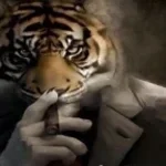 murder on my mind (copy)