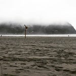 Drago Bludvist Scream