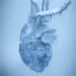 heart of ice