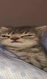 Serzhant Dornan VY DOPUSTILI POTERYU DOROGOSTOYACSHEGO OBMUNDIR