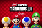 (Wii) Underground Super Mario Bros Wii