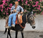 ZI Nicola di Nicola Scalzini