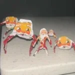 goo goo gaga (+music ambient) gugu gaga